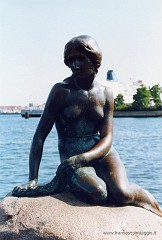 06.jpg  06